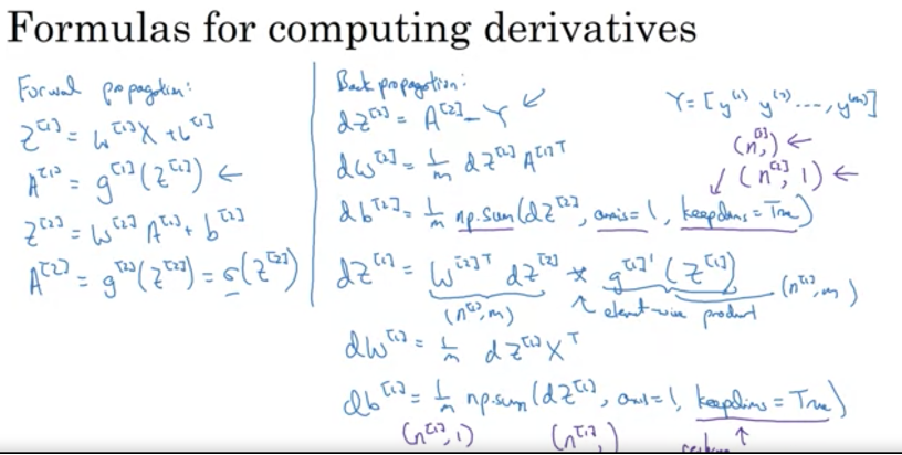 Forward and Backward propagation